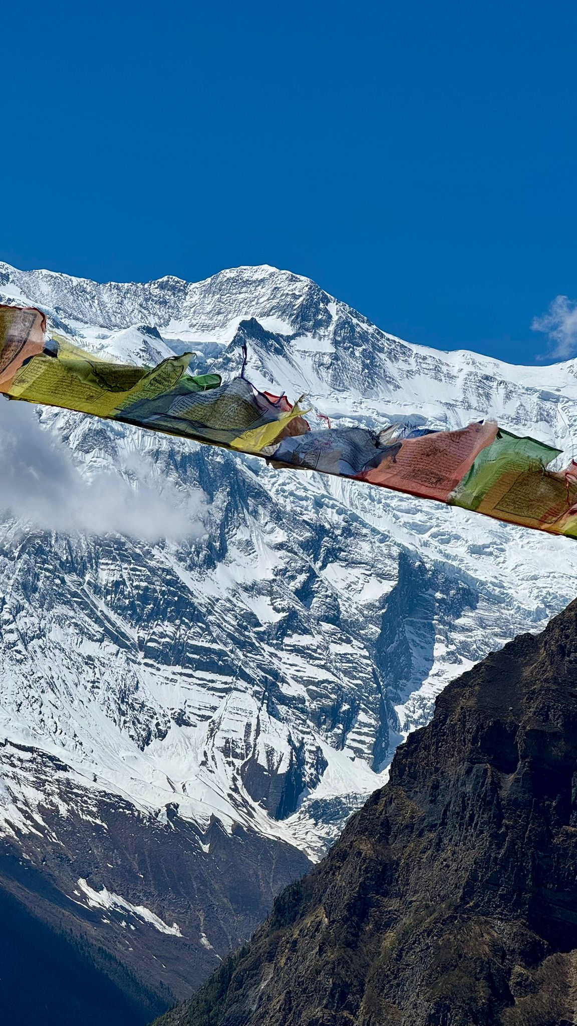 Suwas Pokharel gallery image 3